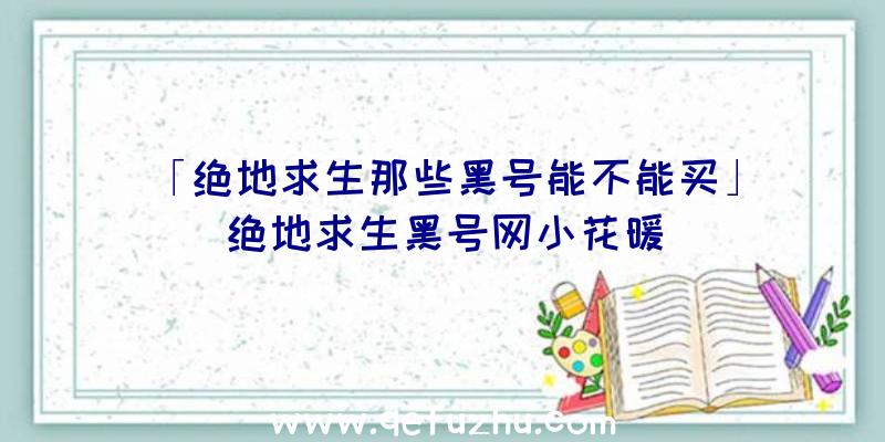 「绝地求生那些黑号能不能买」|绝地求生黑号网小花暖